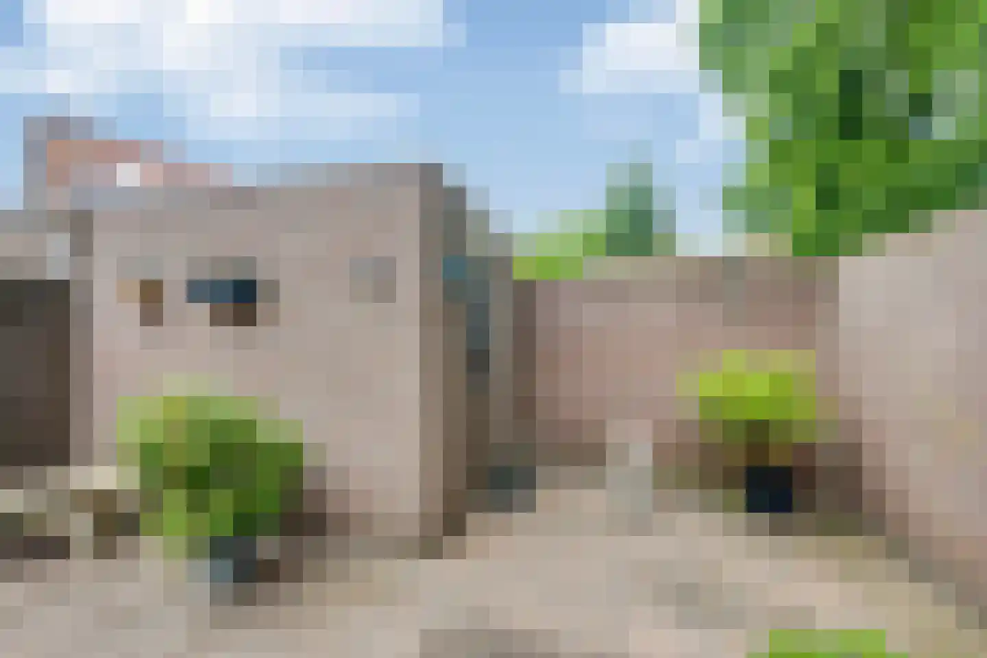 Zaaren 167 Rijen thumbnail 47