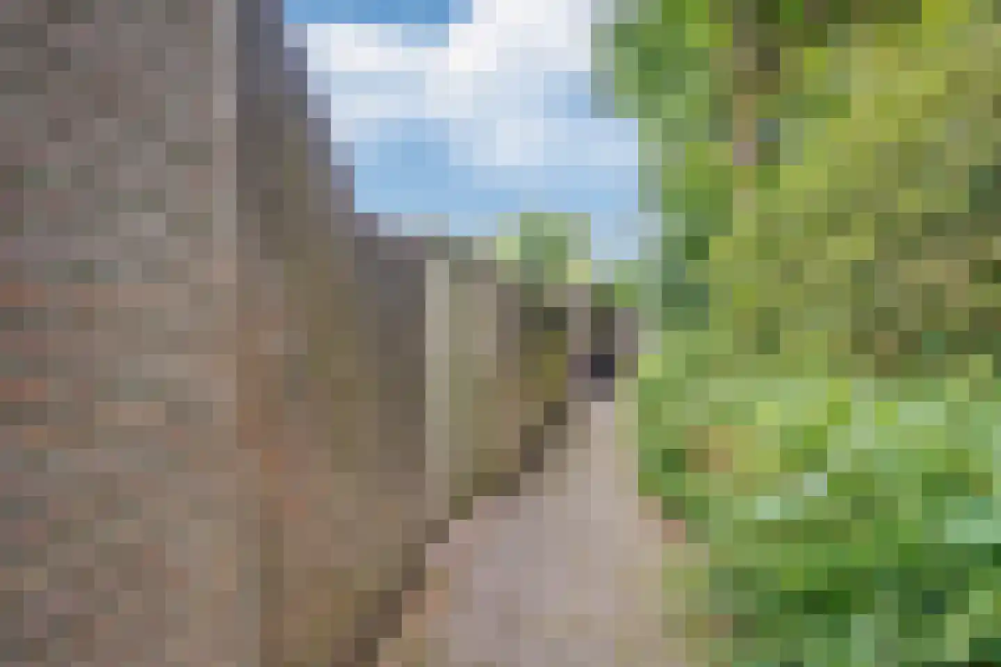 Zaaren 167 Rijen thumbnail 5