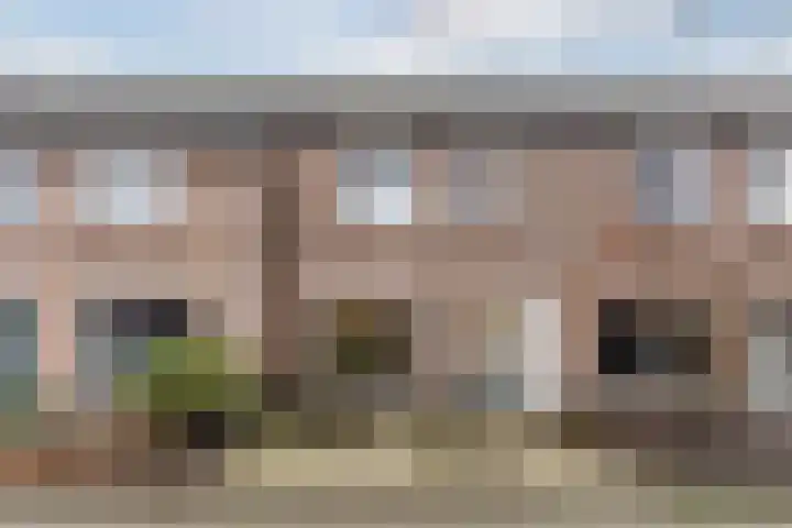 Zaaren 191 en Rijen