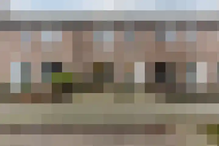 Zaaren 191 Rijen thumbnail 33
