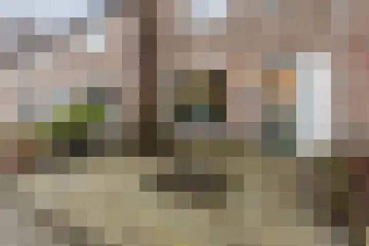 Zaaren 191 Rijen thumbnail 34