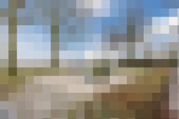 Zaaren 191 Rijen thumbnail 36