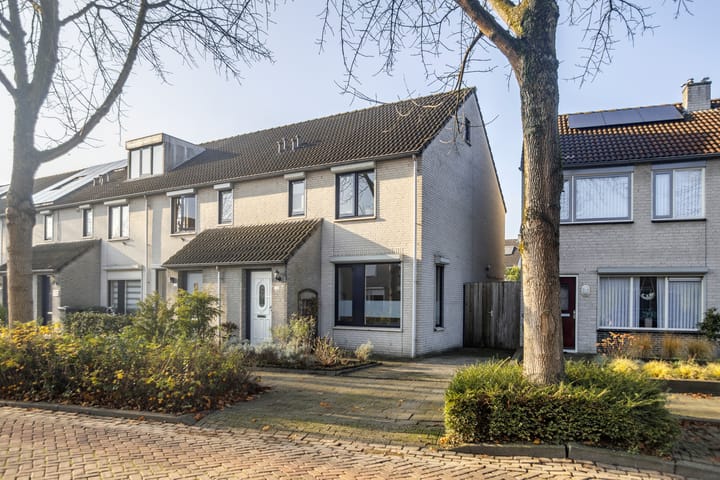 Zaaren 218 dans Rijen photo