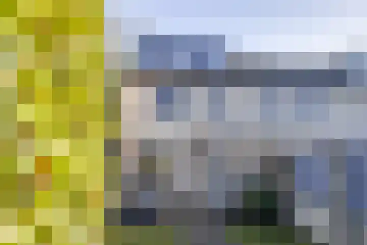 Zaaren 218 Rijen thumbnail 12