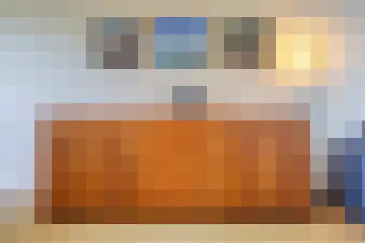 Zaaren 218 Rijen thumbnail 18