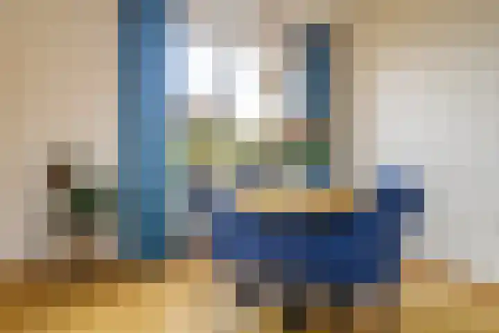 Zaaren 218 Rijen thumbnail 19