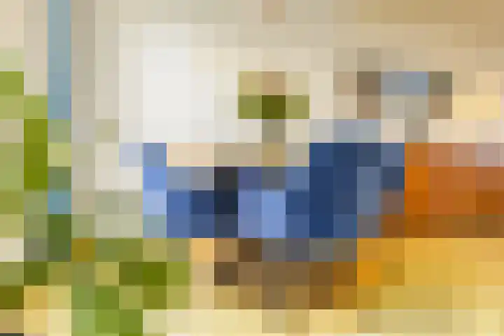 Zaaren 218 Rijen thumbnail 21