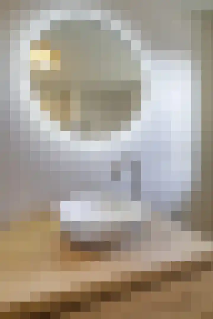 Zaaren 218 Rijen thumbnail 33
