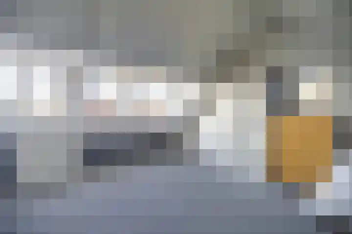 Zaaren 218 Rijen thumbnail 48