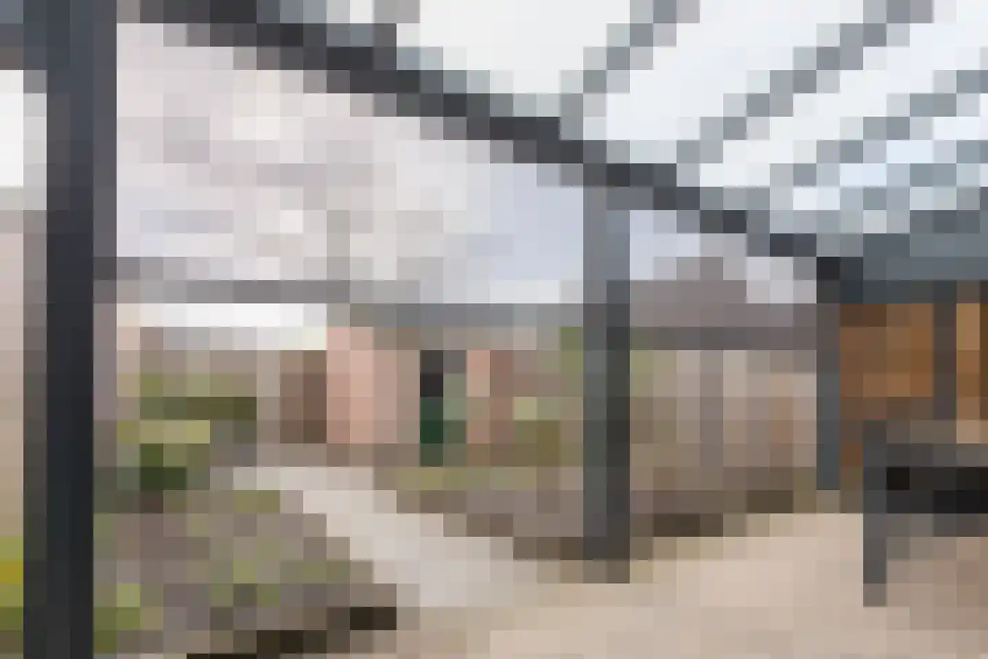 Zaaren 62 Rijen thumbnail 15