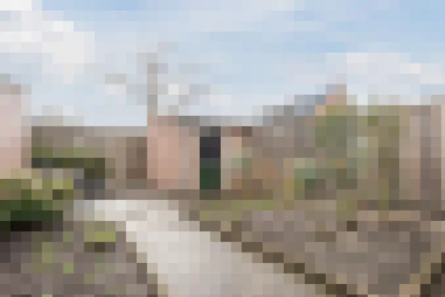 Zaaren 62 Rijen thumbnail 17