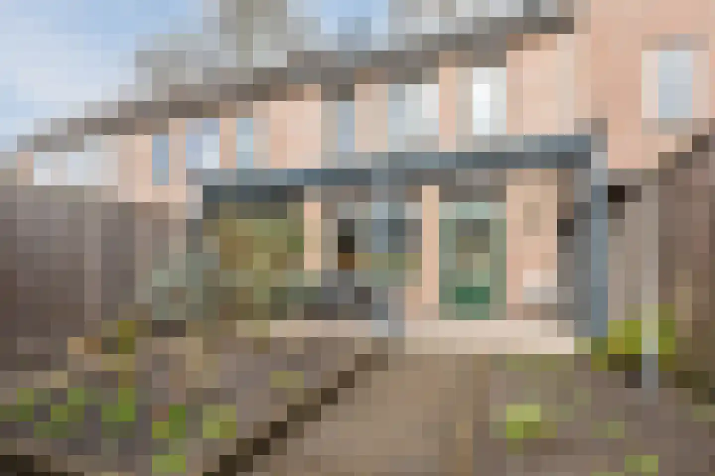 Zaaren 62 Rijen foto 3