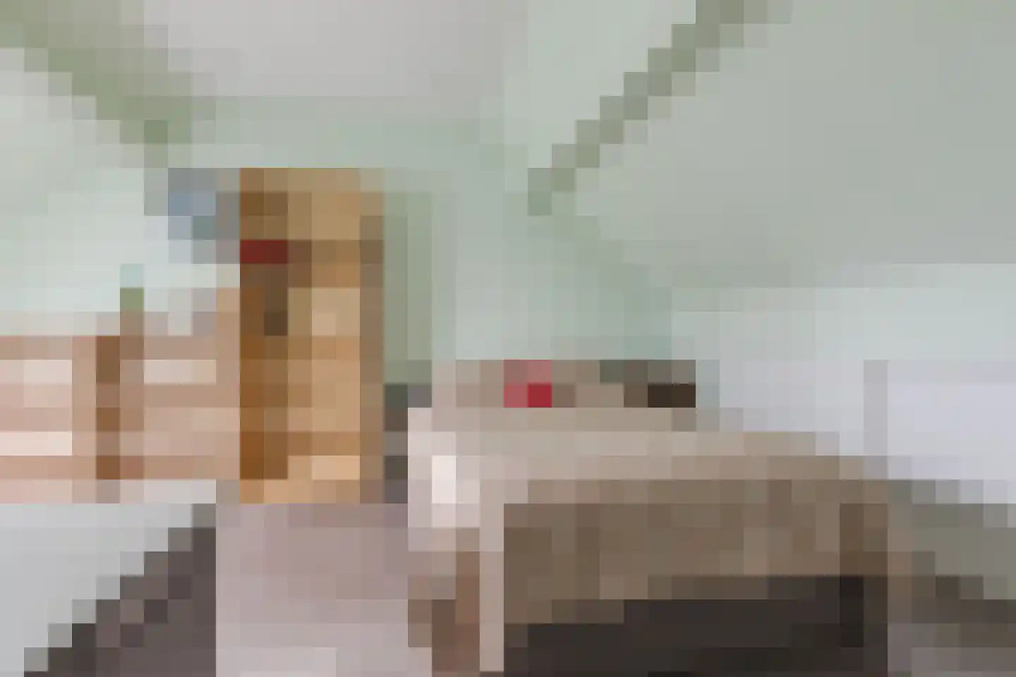 Zaaren 62 Rijen thumbnail 35