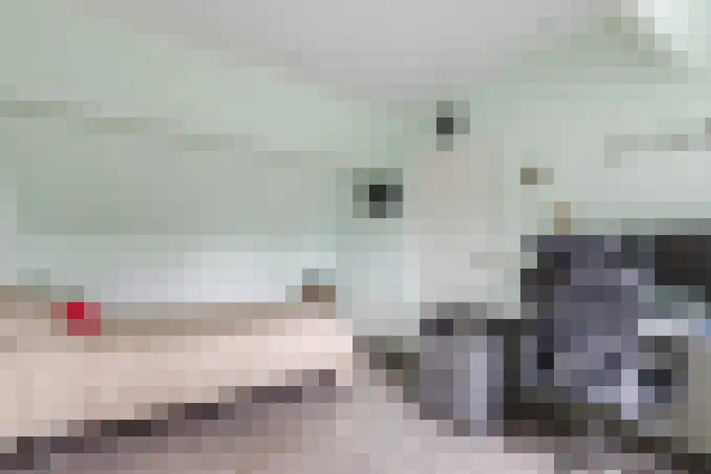 Zaaren 62 Rijen thumbnail 37