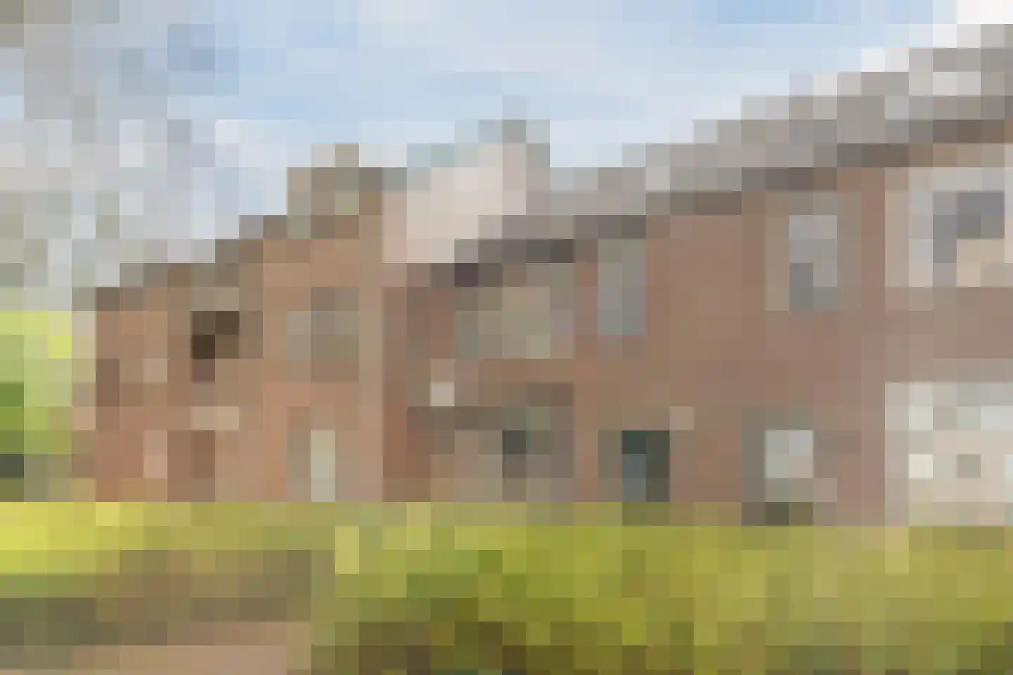 Zaaren 62 Rijen thumbnail 39