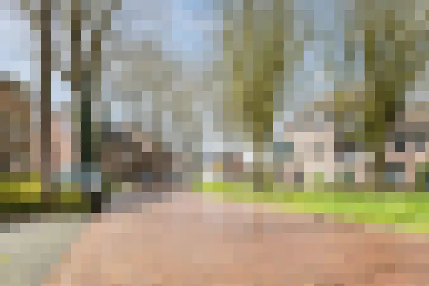 Zaaren 62 Rijen thumbnail 40