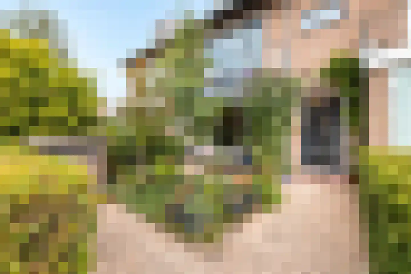 Zaart 12 Breda thumbnail 11