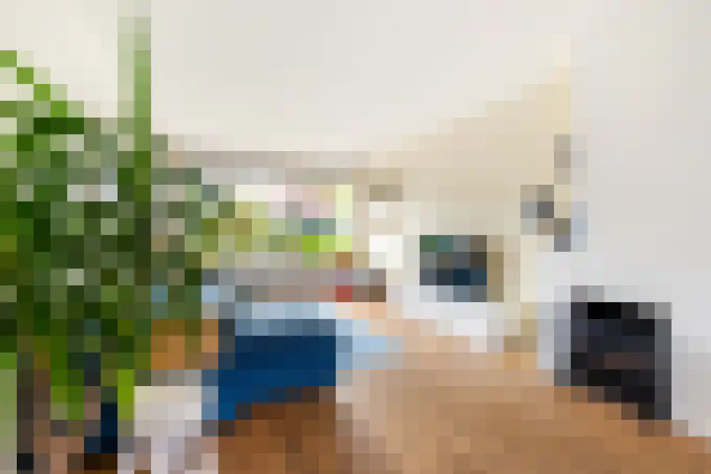 Zaart 12 Breda thumbnail 16
