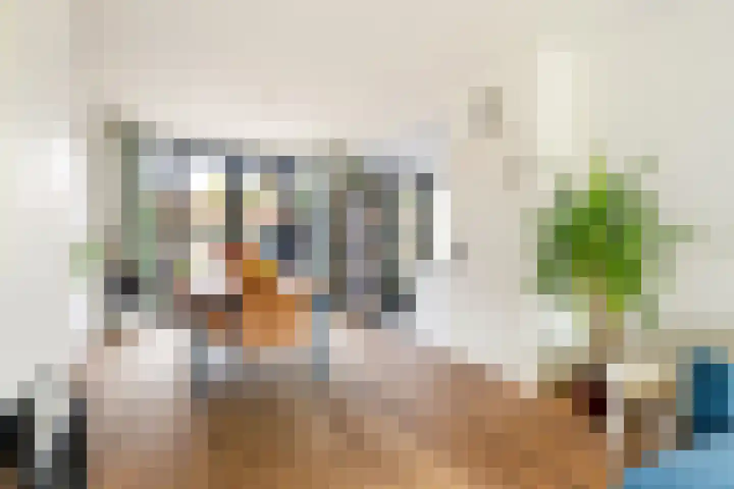 Zaart 12 Breda thumbnail 20