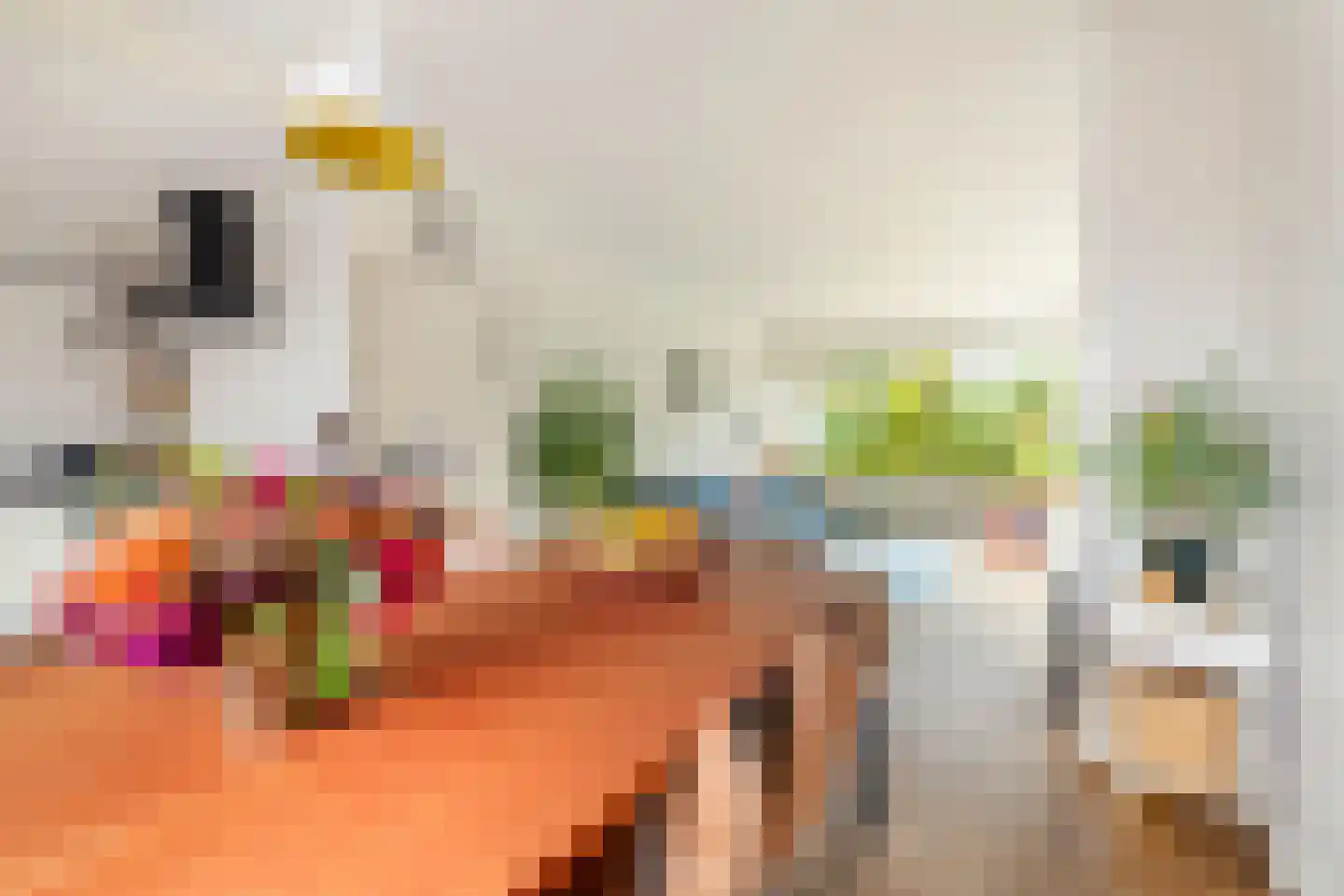 Zaart 12 Breda thumbnail 26
