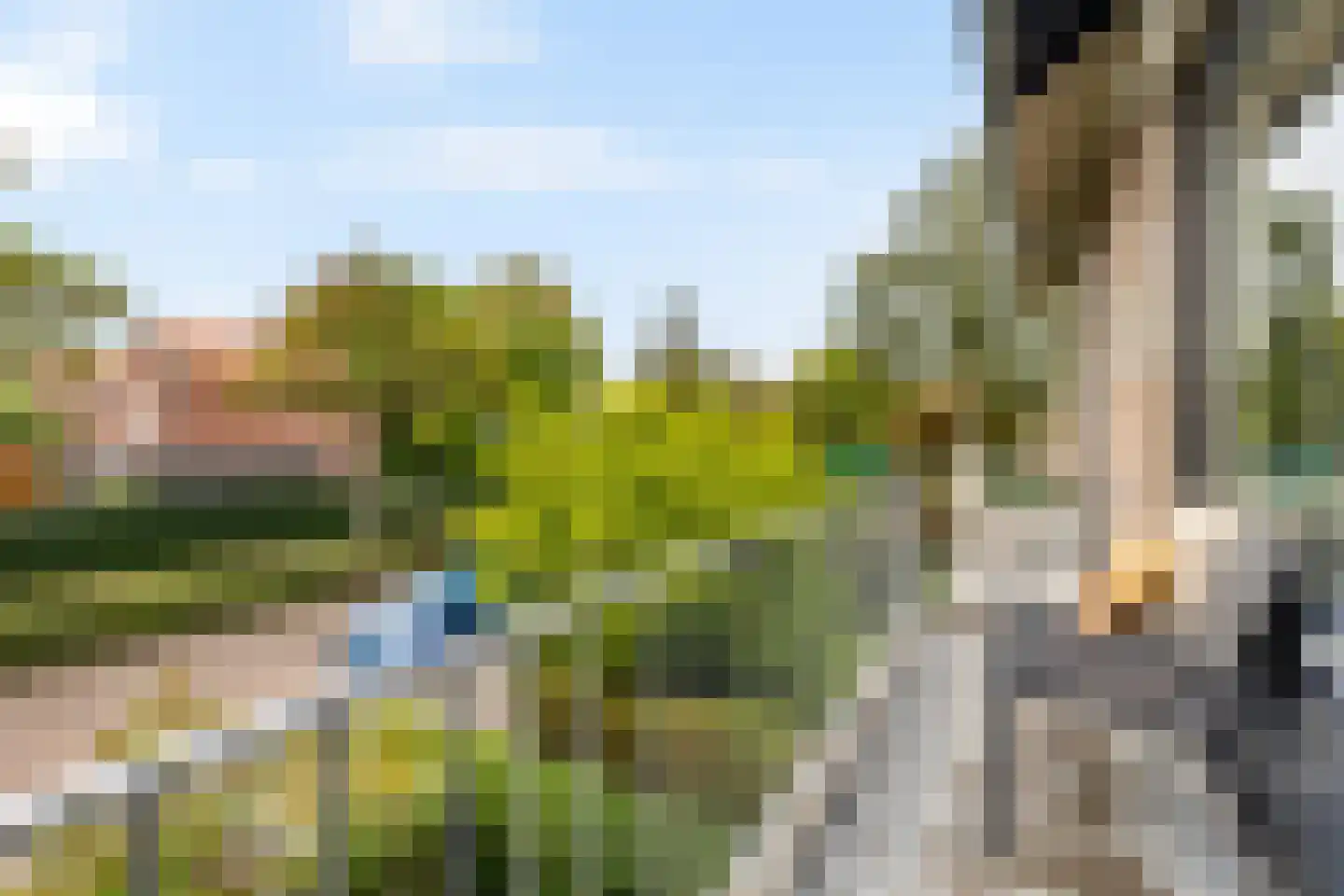 Zaart 12 Breda thumbnail 34