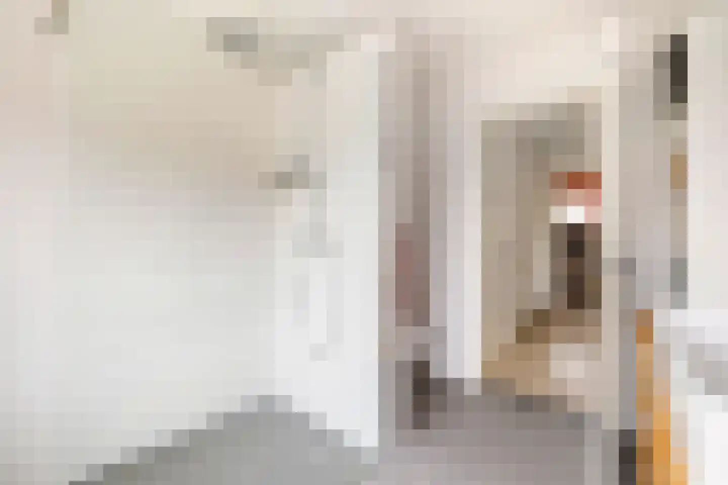 Zaart 12 Breda thumbnail 42