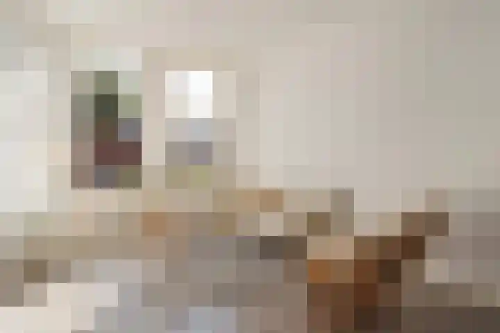 Zacharias Jansenstraat 14 Utrecht thumbnail 12