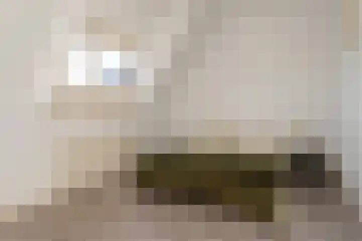 Zacharias Jansenstraat 14 Utrecht thumbnail 26