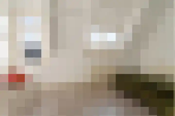 Zacharias Jansenstraat 14 Utrecht thumbnail 28