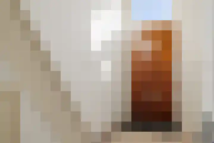 Zacharias Jansenstraat 14 Utrecht thumbnail 7