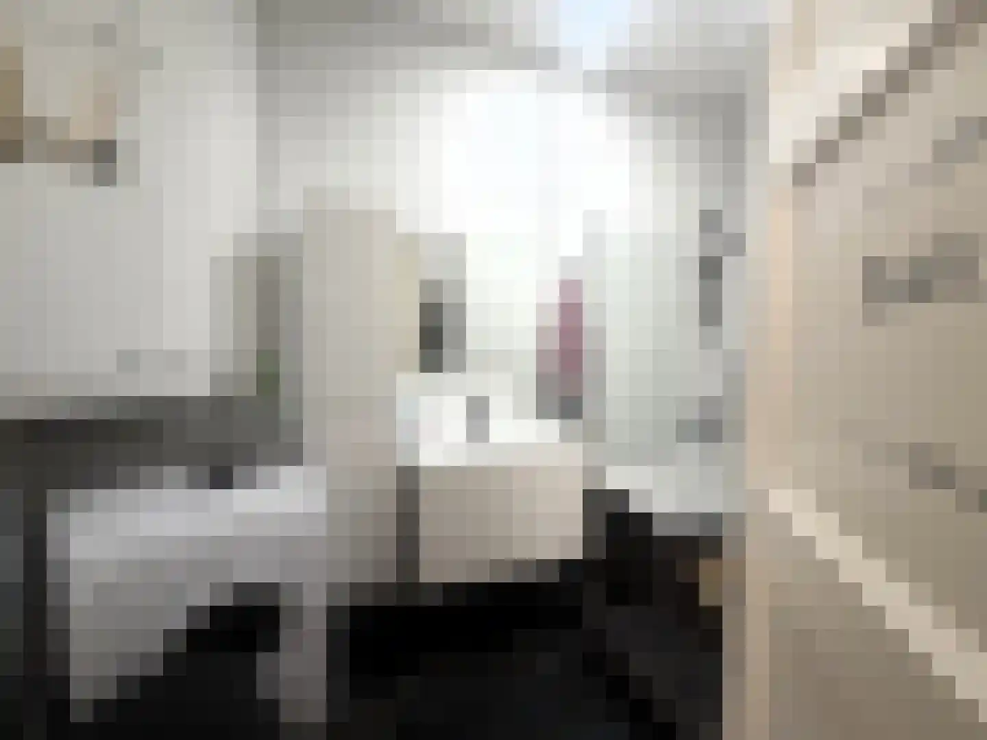 Zacharias Jansenstraat 15 Den Haag thumbnail 8