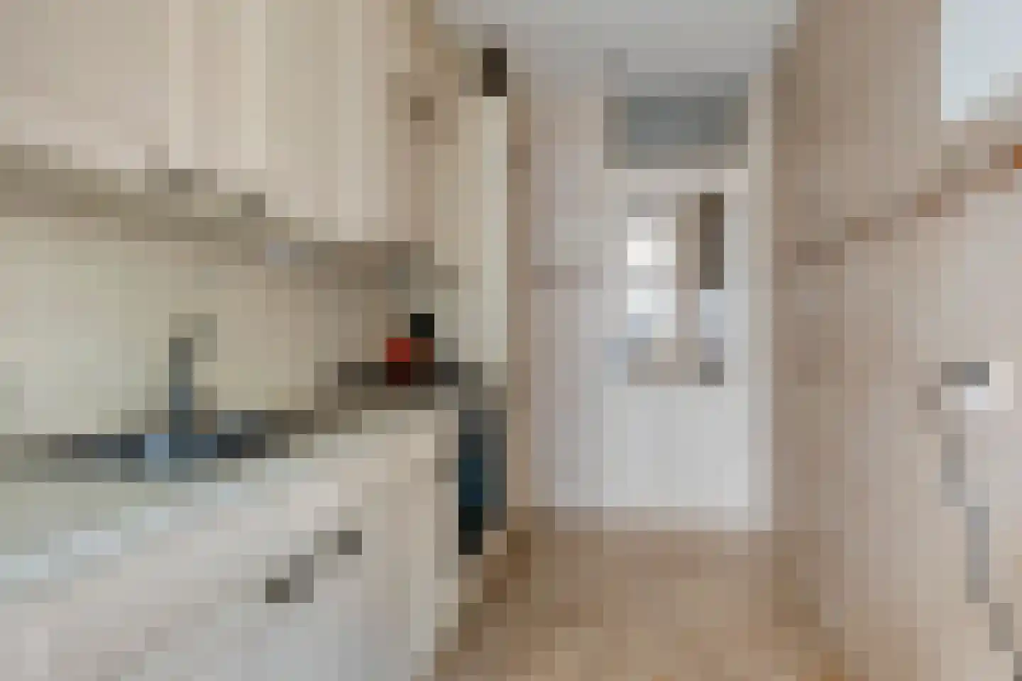 Zacharias Jansenstraat 26 Den Haag thumbnail 10