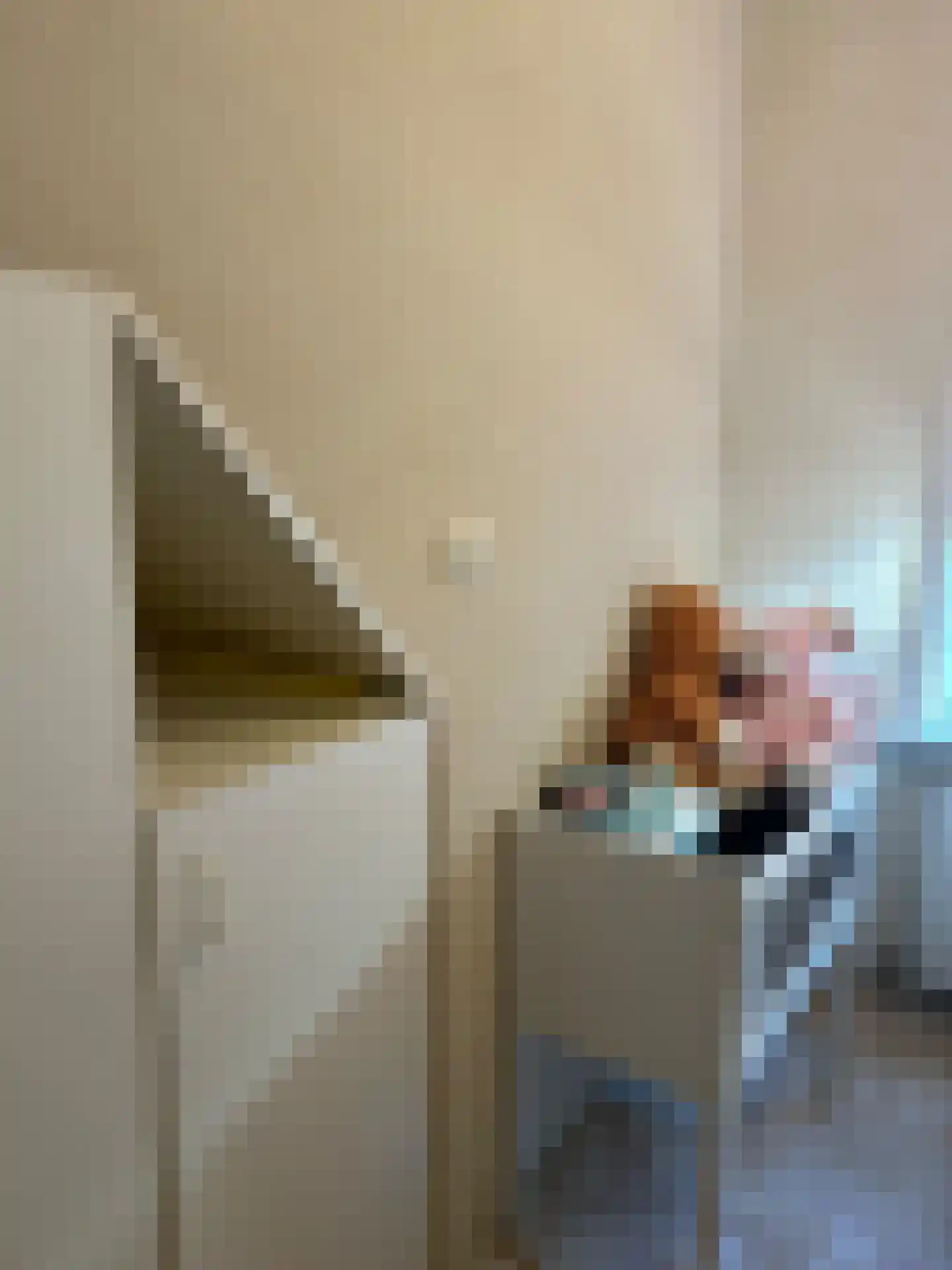 Zacharias Jansenstraat 26 Den Haag thumbnail 15