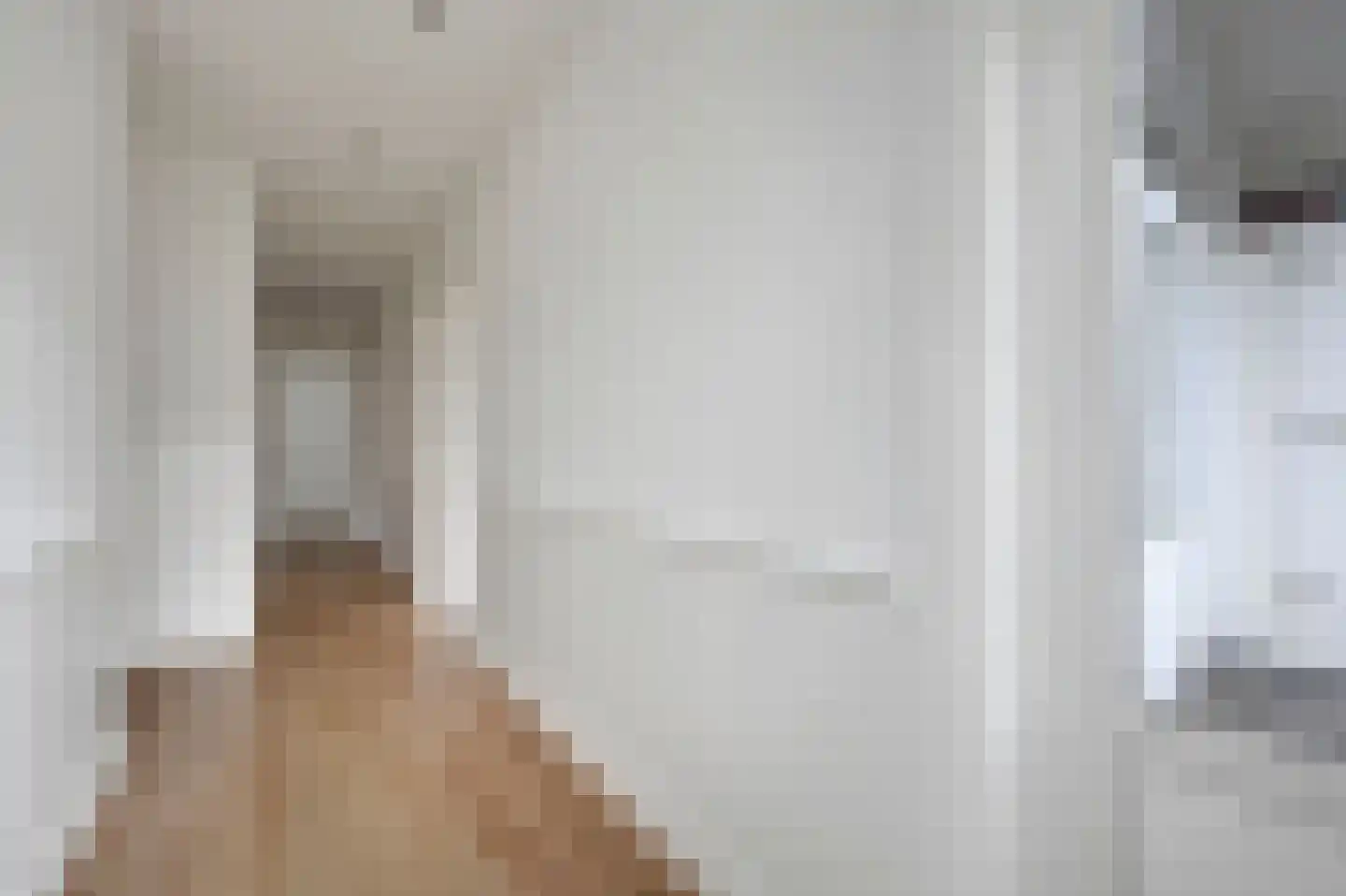 Zacharias Jansenstraat 28 Den Haag thumbnail 17