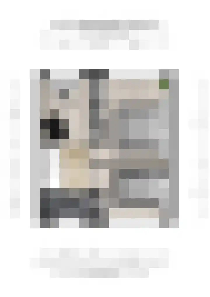 Zacharias Jansenstraat 47 Middelburg thumbnail 35