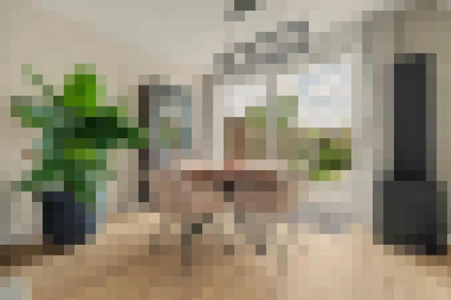 Zacharias Jansenstraat 49 Middelburg thumbnail 14