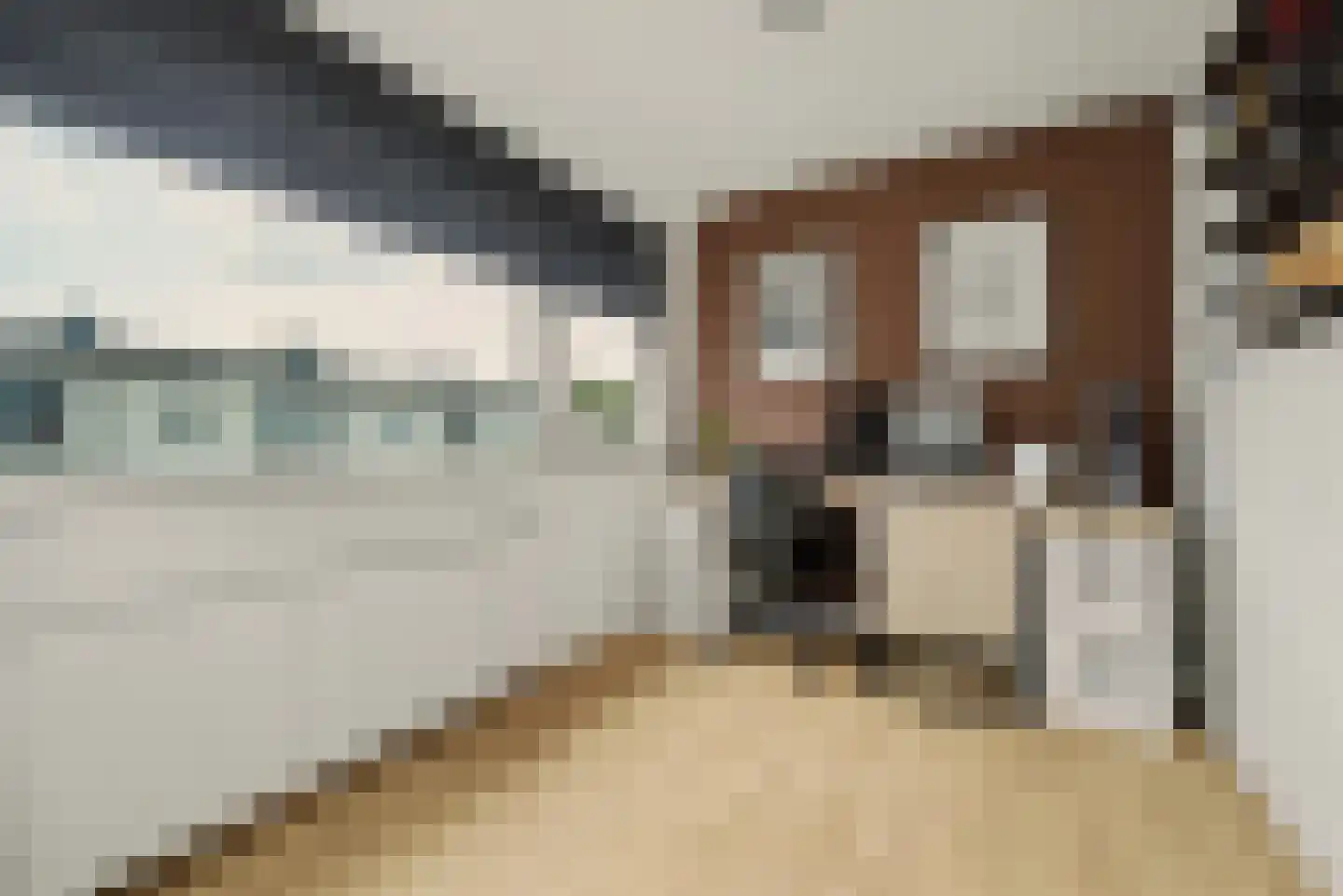 Zacharias Jansenstraat 49 Middelburg thumbnail 26