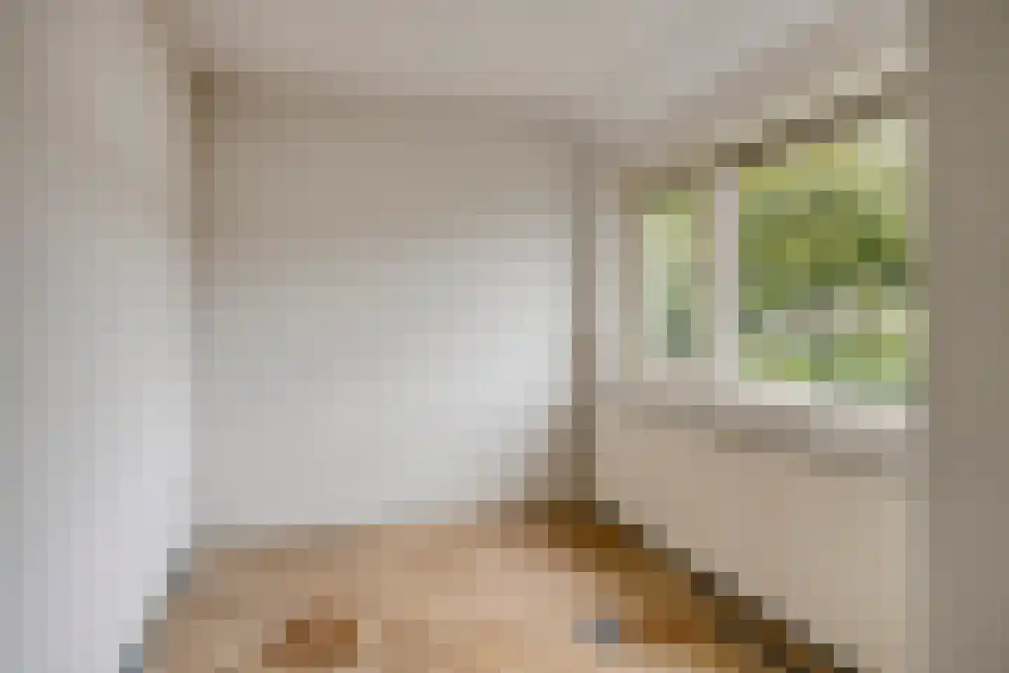 Zacharias Jansenstraat 51 Middelburg thumbnail 16