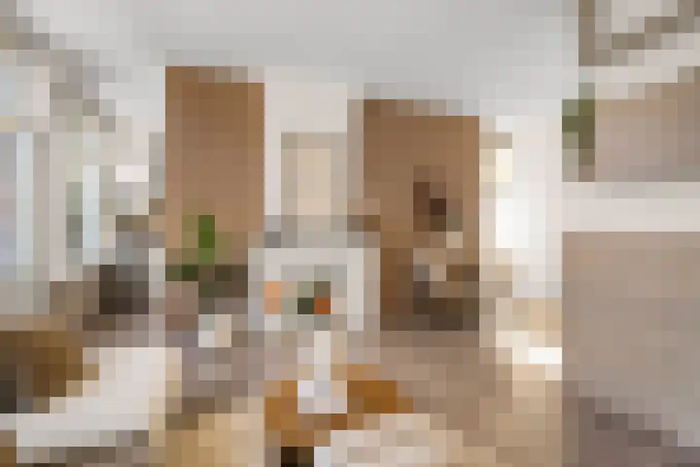 Zacharias Jansestraat 1 2 Amsterdam thumbnail 5