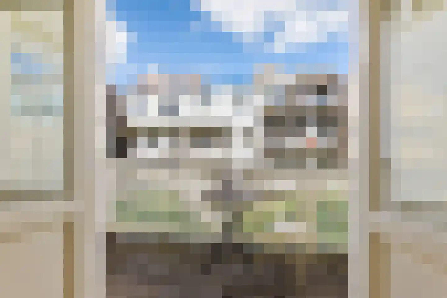 Zacharias Jansestraat 16 2 Amsterdam thumbnail 17