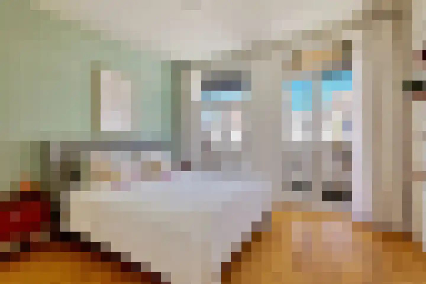 Zacharias Jansestraat 16 2 Amsterdam thumbnail 20