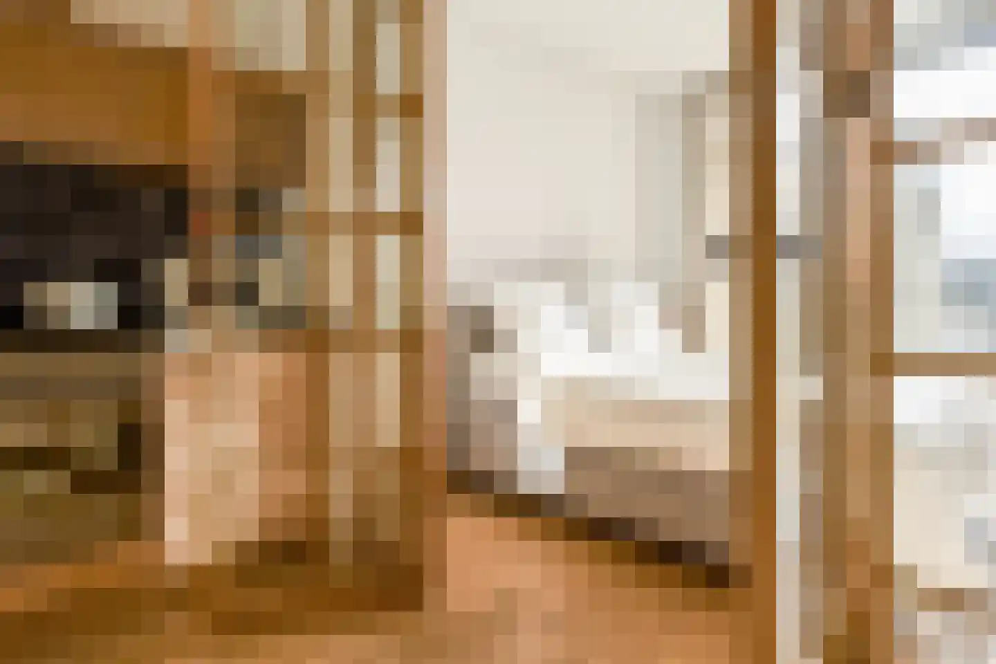 Zacharias Jansestraat 25 1 Amsterdam thumbnail 8