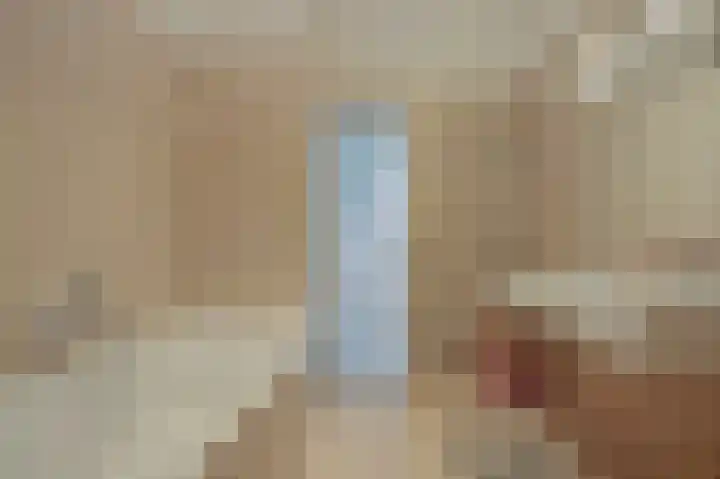 Zacharias Jansestraat 27 2 Amsterdam thumbnail 31