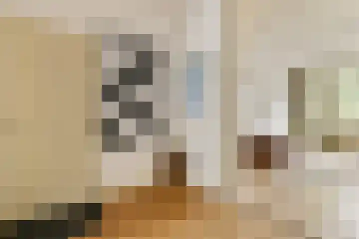 Zacharias Jansestraat 3 2 Amsterdam thumbnail 10