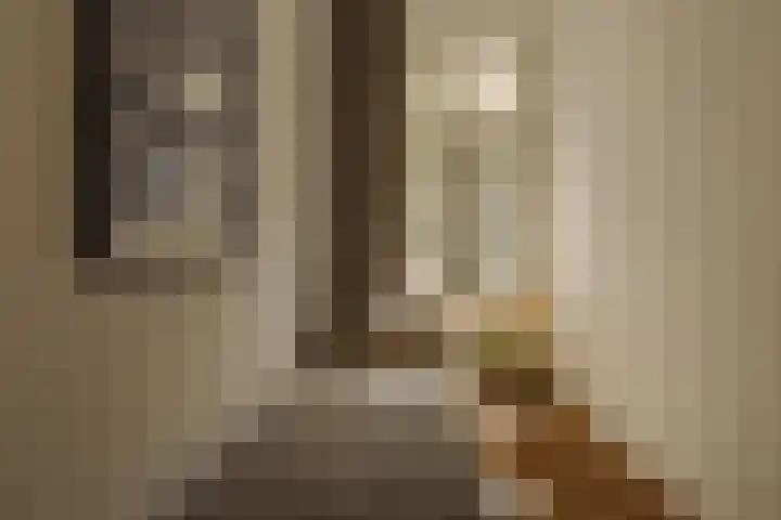 Zacharias Jansestraat 3 2 Amsterdam thumbnail 17