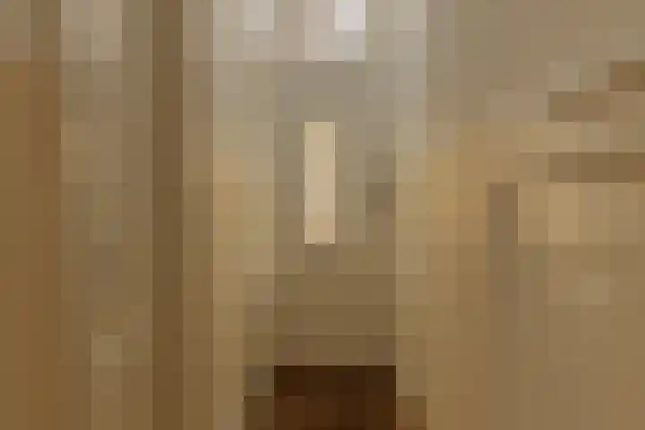 Zacharias Jansestraat 3 2 Amsterdam thumbnail 6