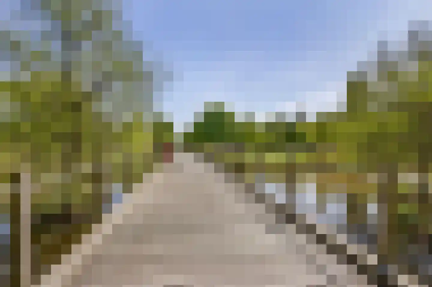 Zacharias Jansestraat 32 2 Amsterdam thumbnail 23