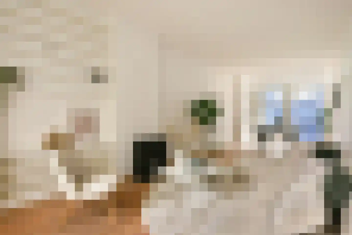 Zacharias Jansestraat 32 2 Amsterdam thumbnail 9