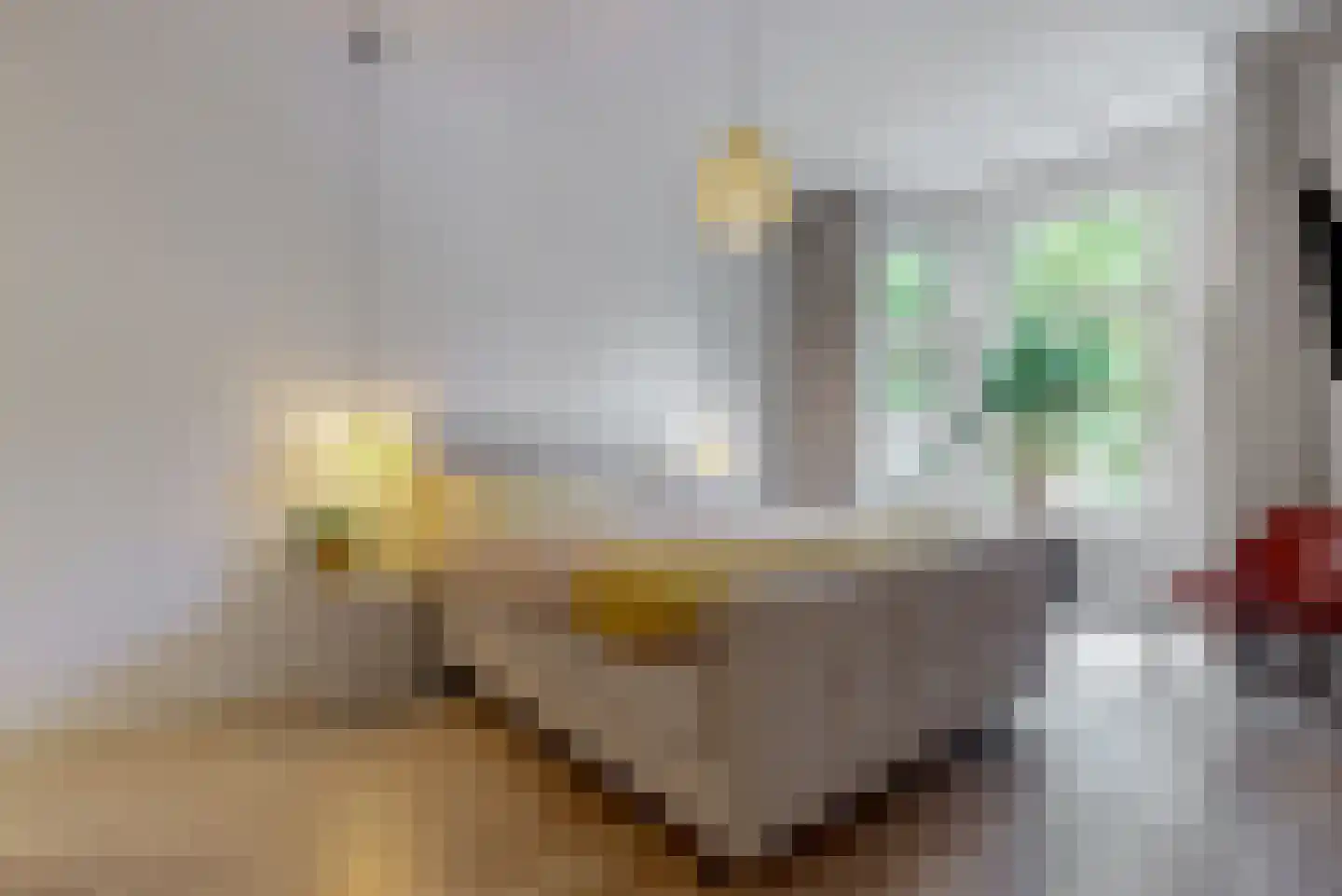 Zacharias Jansestraat 58 Amsterdam thumbnail 16
