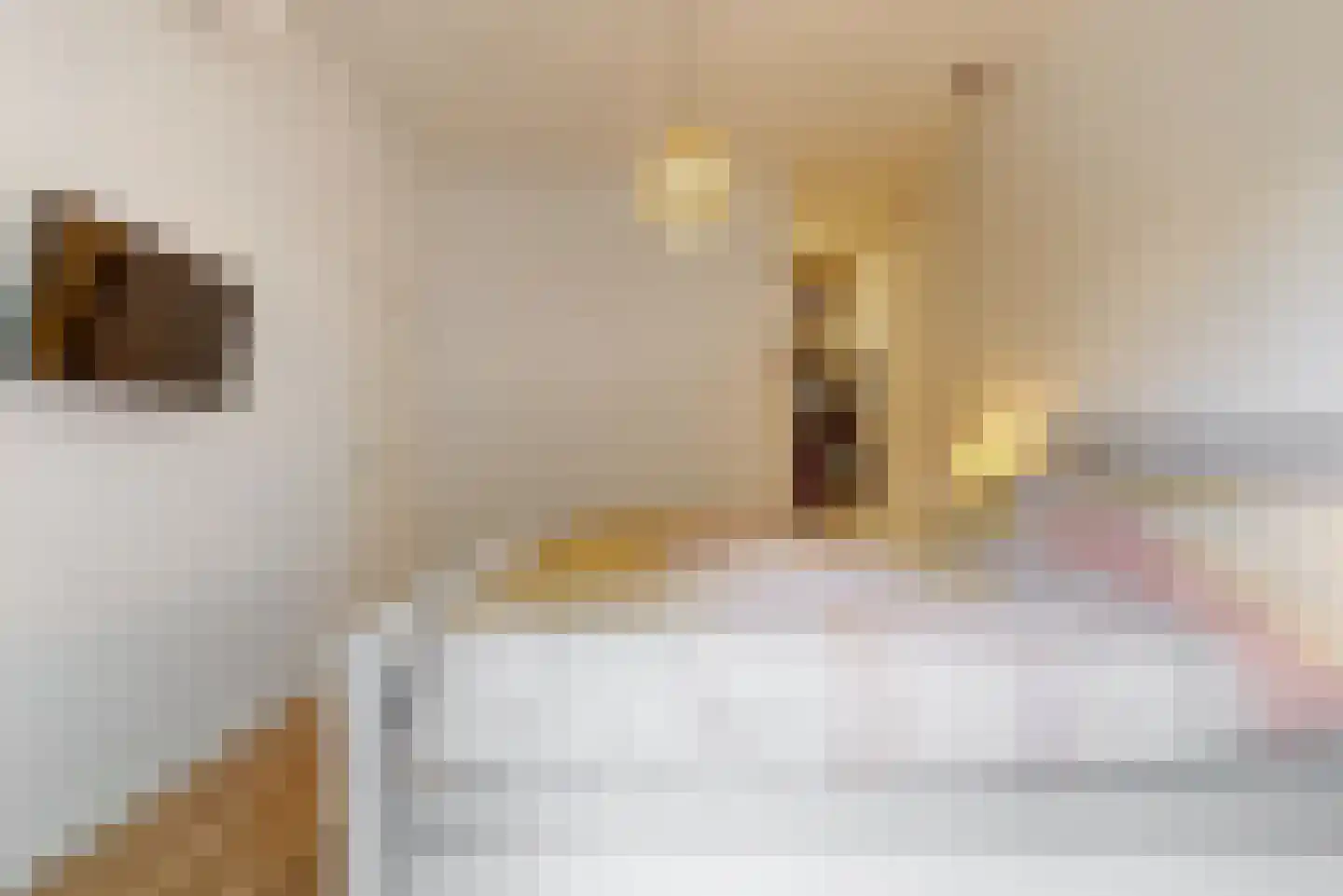 Zacharias Jansestraat 58 Amsterdam thumbnail 17